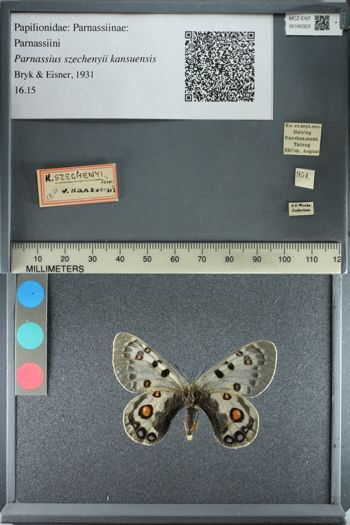 Media type: image;   Entomology 180323